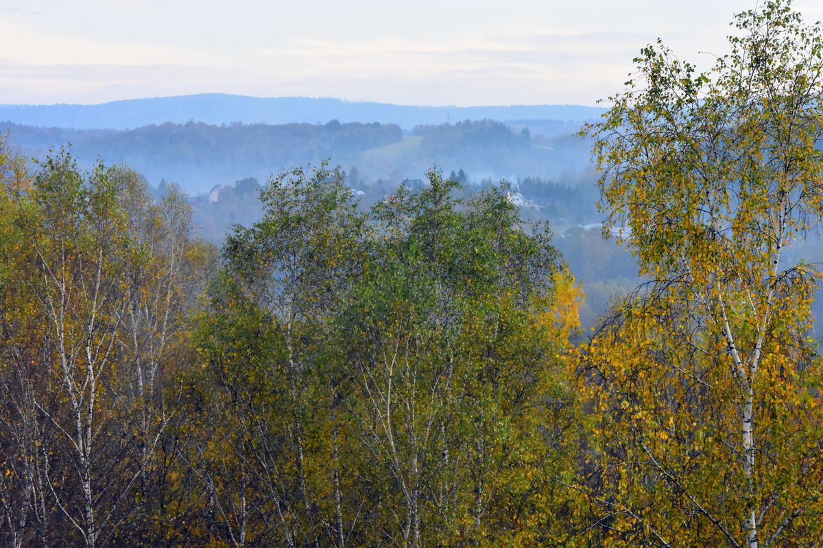 Podkarpacie